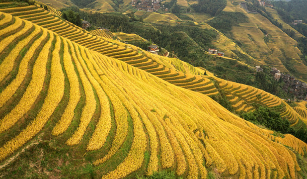 田园风景画