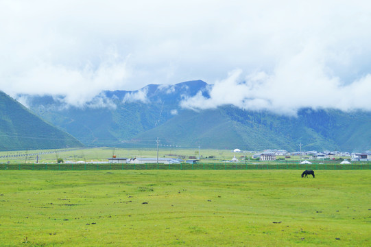 香格里拉大草原