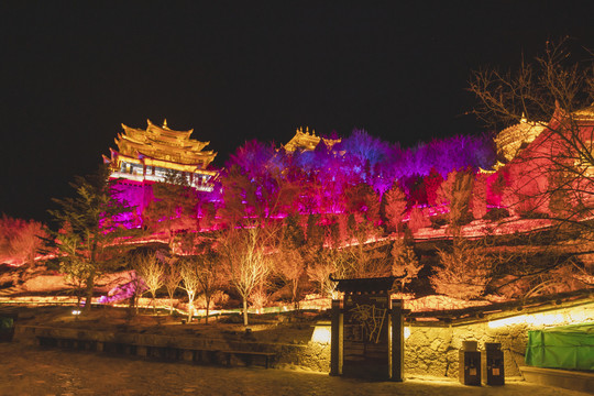 香格里拉独克宗古城大佛寺夜景