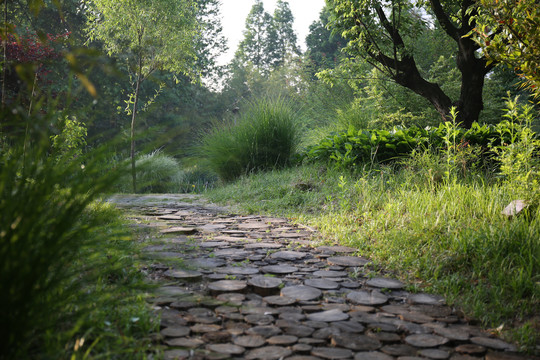 原木小路