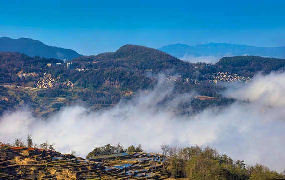 元阳梯田