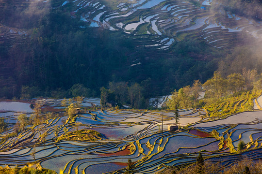 元阳梯田