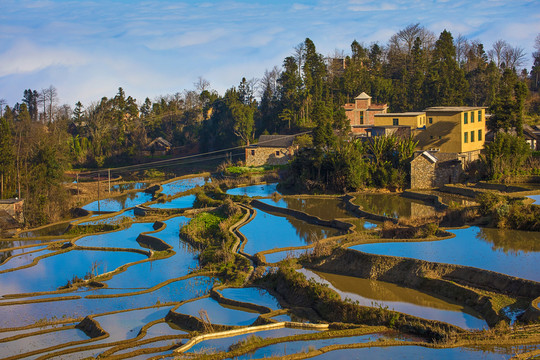 元阳梯田