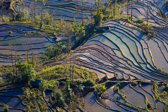 元阳梯田