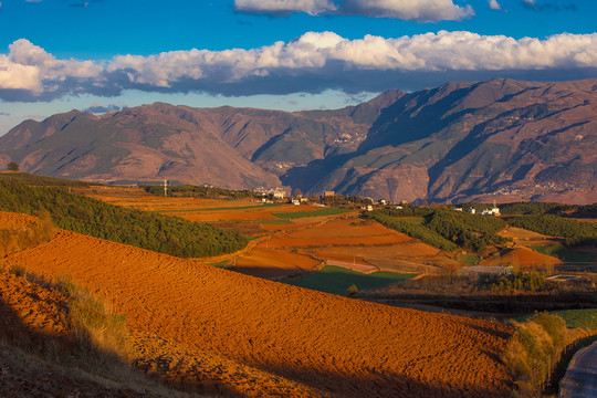 东川红土地瓦房梁子