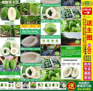 青木瓜詳情頁主圖