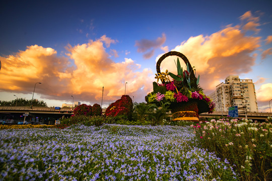 城市花篮