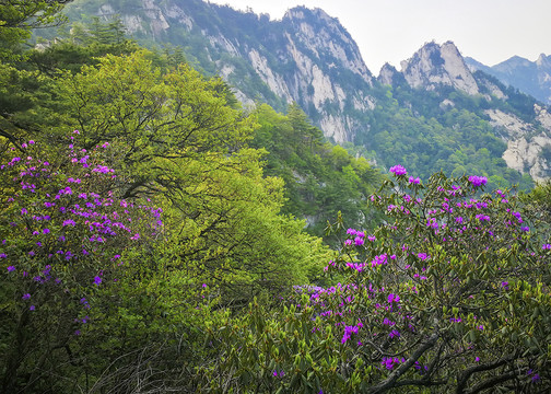 尧山