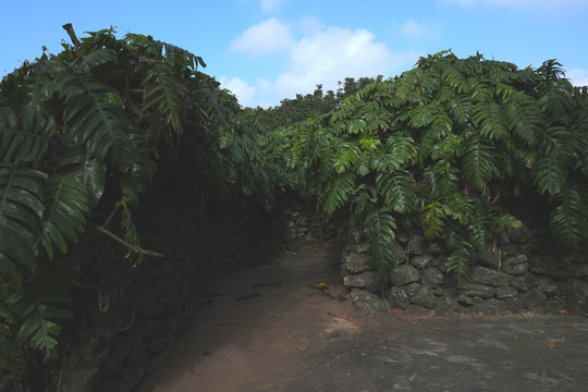 火山岩墙