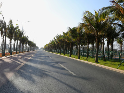 新修柏油路