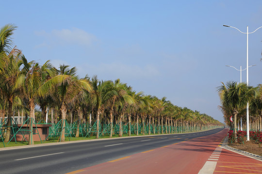 新修柏油路