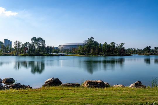 龙泉东安湖湿地公园