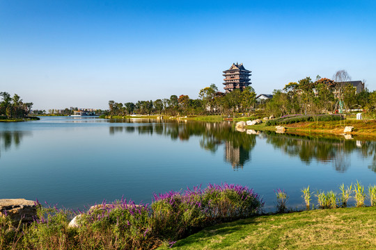 成都龙泉大运湿地公园湖泊