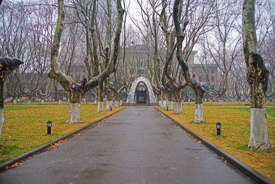 东南大学校园建筑群