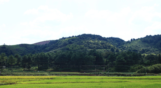 乡村田野