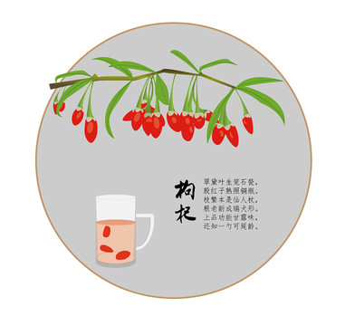 枸杞包裝手繪矢量插畫