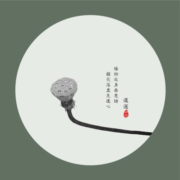 黑白蓮蓬