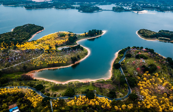 花开松山湖