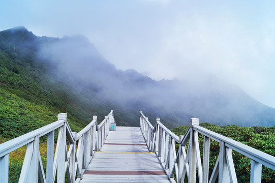 大理苍山自然保护区