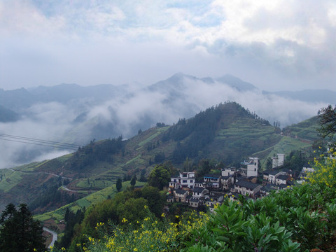 青山绿水就是金山银山