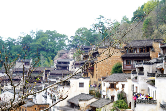 初春的婺源篁岭