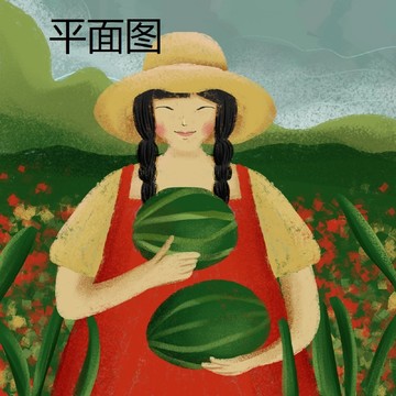 西瓜包裝插畫(huà)