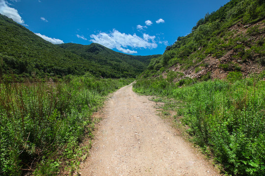 山路