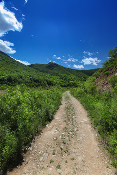 山路