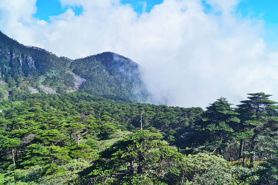 大理苍山