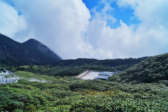 大理苍山森林