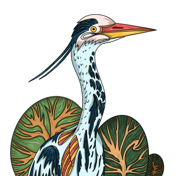 國潮鳥類插畫頭像