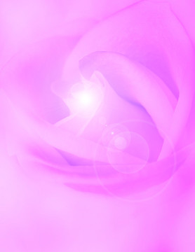 玫瑰花背景圖