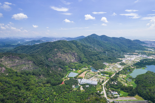 深圳宝安区福永凤凰山