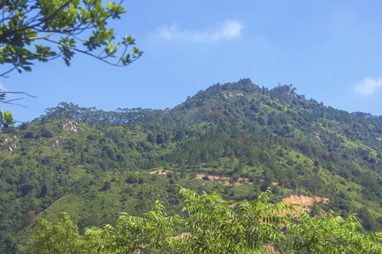 南安市观音山武灵岭