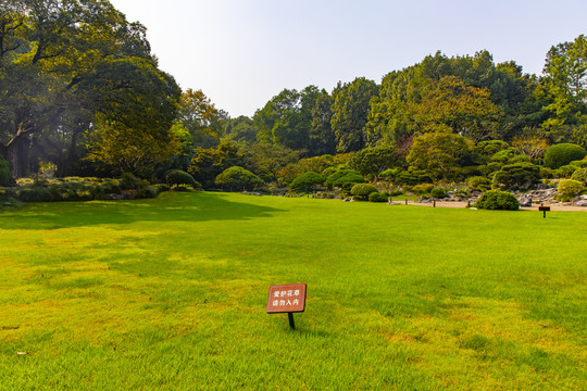 阳光草坪