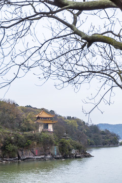 江苏无锡太湖鼋头渚樱花风光