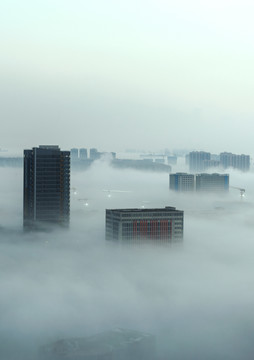城市上空的雾