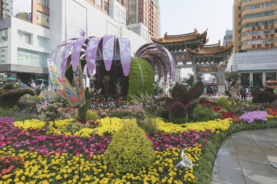 国庆节花坛昆明城市街景