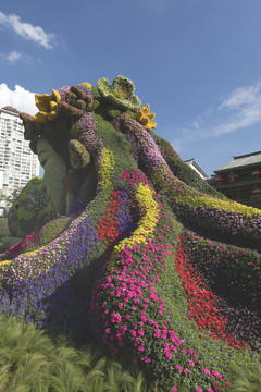 国庆节花坛昆明城市街景