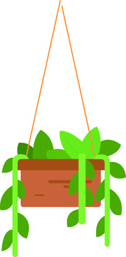 綠植吊籃