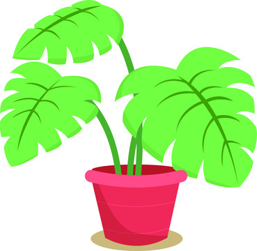 盆栽綠植