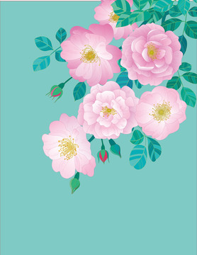 矢量薔薇