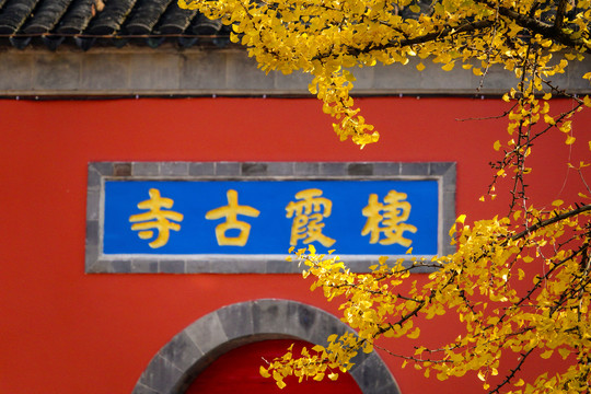 南京栖霞山栖霞寺秋韵