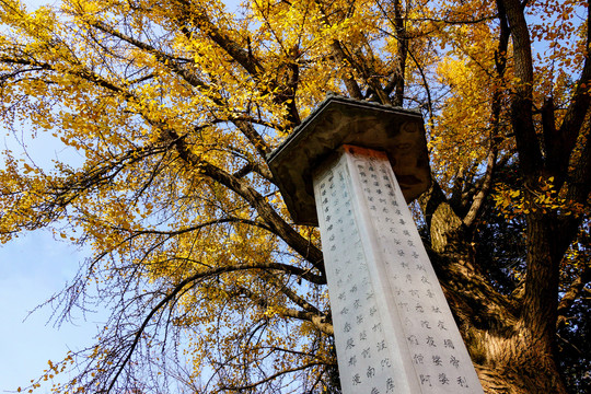 南京栖霞山栖霞寺秋景