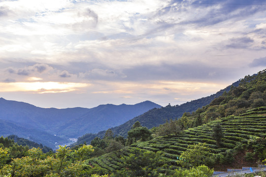 高山晚霞