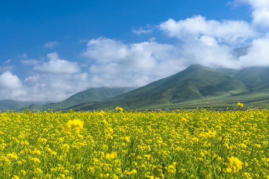 高山田园景区