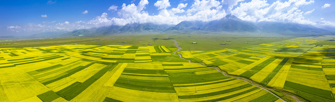 高山田园景区全景