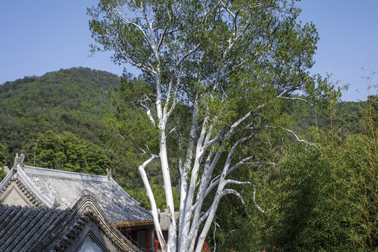 潭柘寺