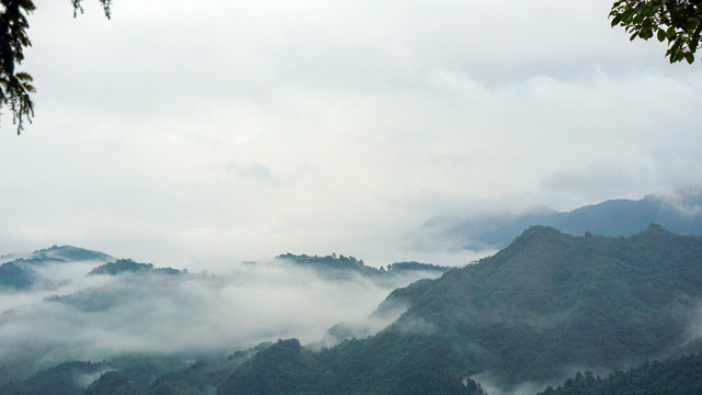 高山云雾