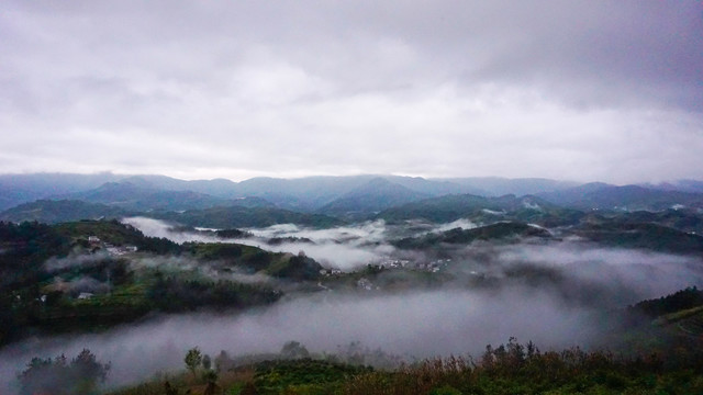 县河山顶浓雾